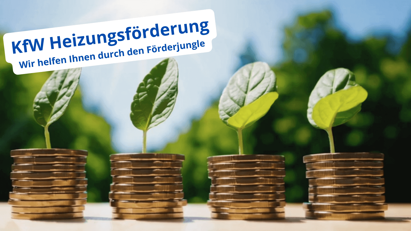 Staatliche Förderung sichern